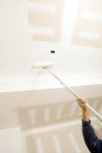 Best Mold Remediation for Healthcare Facilities  in Longview, TX