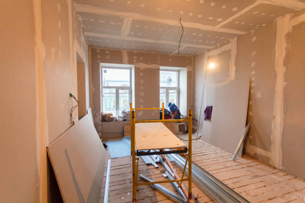 Best Black Mold Removal  in Longview, TX